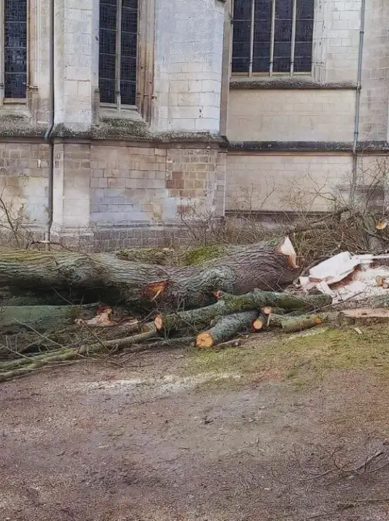 Entretien d'un parc immobilier d'entreprise