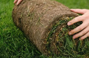 Aménagement paysager