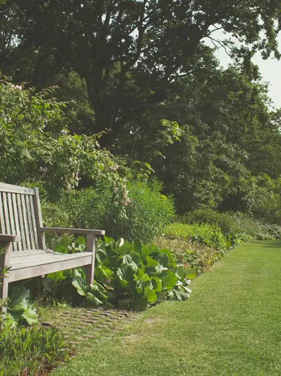 Plan de conception paysagère et étude de terrain