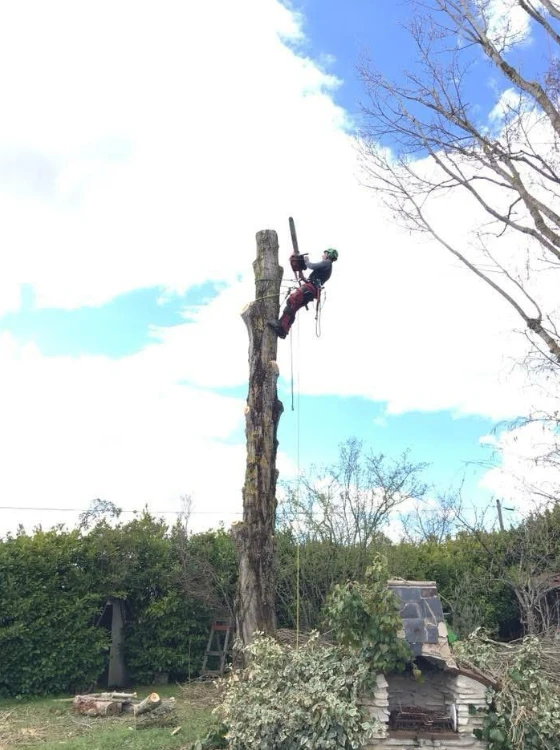 Maîtrise technique de la grimpe