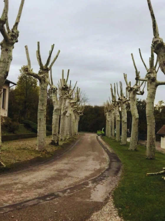 Gestion de parc immobilier