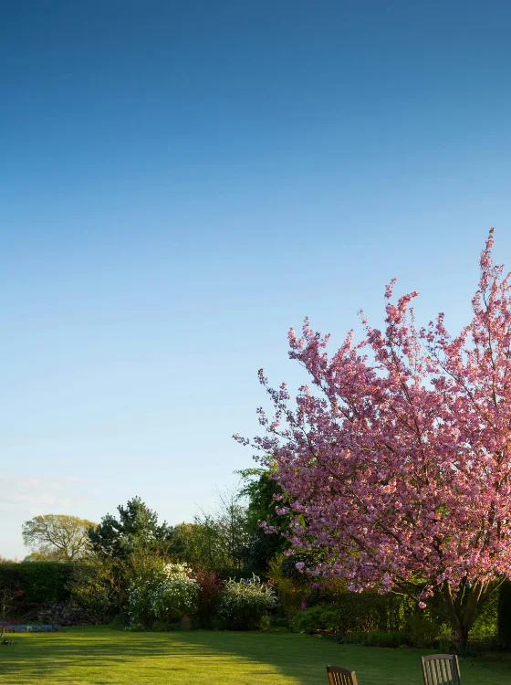 Conception paysagère de luxe