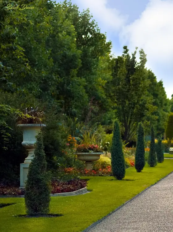 Plantation d'arbres et végétaux