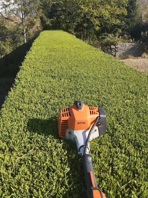 Taille de haie de haute précision réalisée par un artisan professionnel