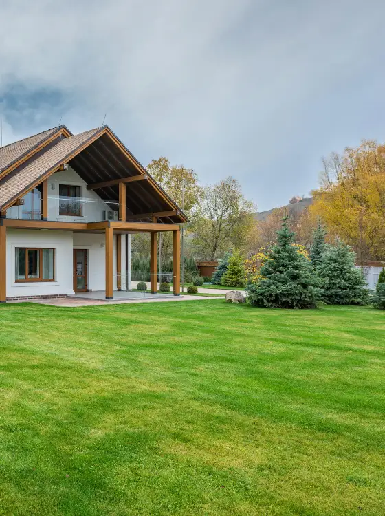 Terrain propre après dessouchage