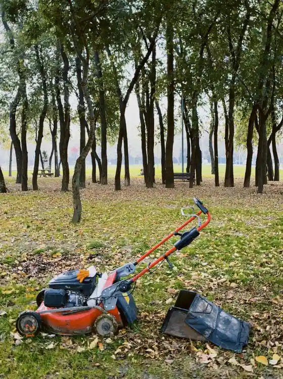 Pelouse de prestige fraîchement tondue